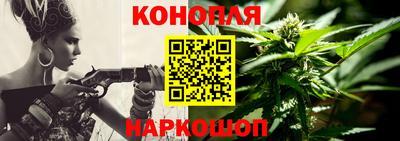 Альфа ПВП Кингисепп