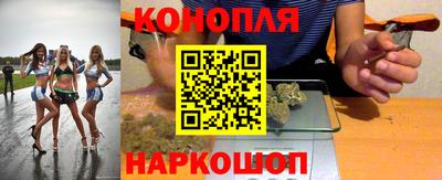 Альфа ПВП Кингисепп