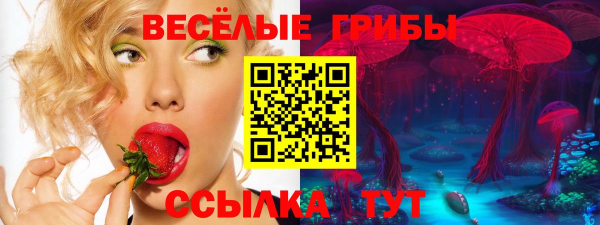 продажа наркотиков  Галлюциногенные грибы GOLDEN TEACHER  Вход с VPN  Феодосия 